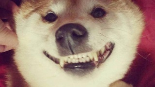 国际军事比赛:我海军将首次参加“深海”潜水员比赛【熊猫体育首页】(图2) 熊猫体育公司