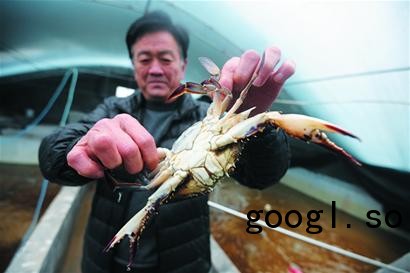 熊猫体育公司|上周空袭塔利班后美军已开始从阿富汗撤军(图1) 熊猫体育公司