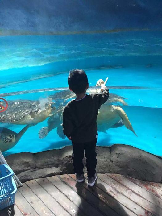 【熊猫体育首页】直20亮相后中国下一代直升机长什么样千万别学波音(图2) 熊猫体育公司