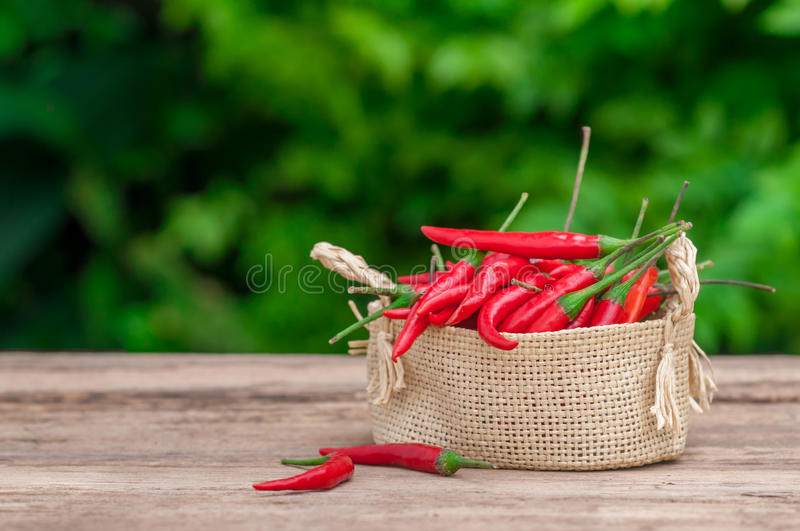 【熊猫体育首页】直20亮相后中国下一代直升机长什么样千万别学波音(图3) 熊猫体育首页