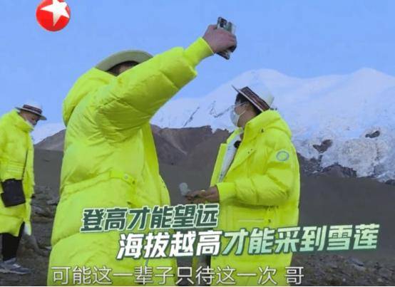 
魔都卫视无底线！极限挑战刘宇宁采摘二级植物！替节目组背了黑锅！：熊猫体育首页(图3)