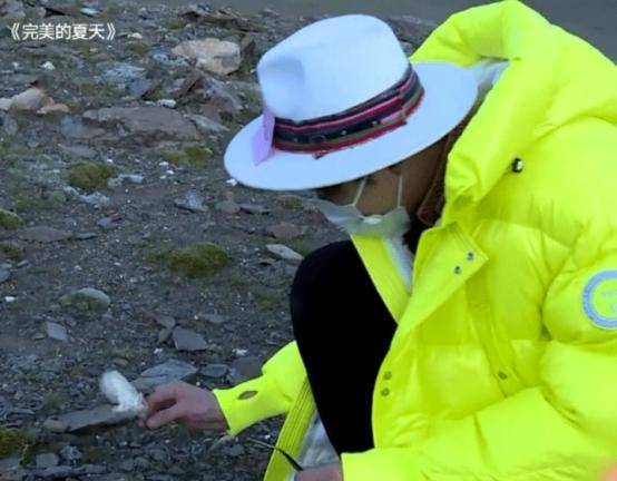 
魔都卫视无底线！极限挑战刘宇宁采摘二级植物！替节目组背了黑锅！：熊猫体育首页(图5)