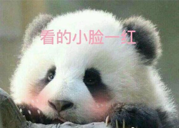 熊猫体育公司_中国最赚钱高铁亮家底:仅有67名员工 年赚百亿(图1) 熊猫体育首页