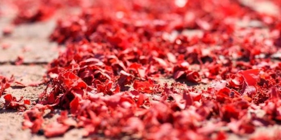 辽宁舰女兵忆张超牺牲:我在驾驶室里眼泪一下流出来:熊猫体育首页(图4) 熊猫体育首页