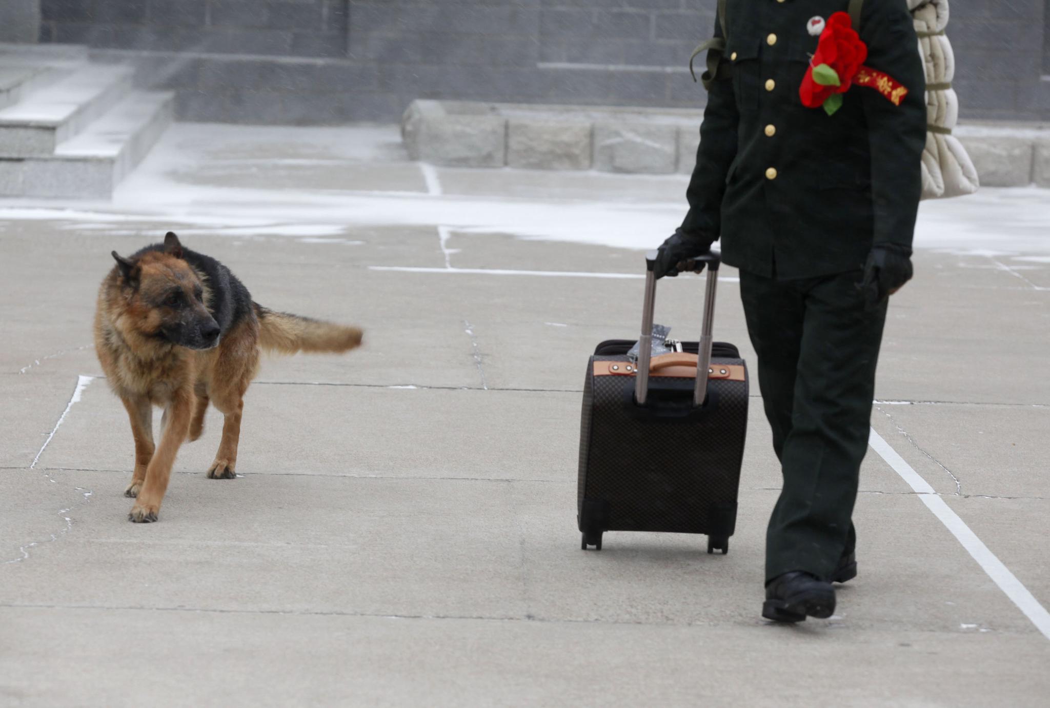 熊猫体育公司:歌手2018华晨宇帮唱嘉宾是谁 邓紫棋助阵花花有望夺冠(图4) 熊猫体育首页