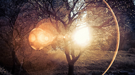 熊猫体育首页:
盘货人民军队2020十台甫局面(图7) 熊猫体育