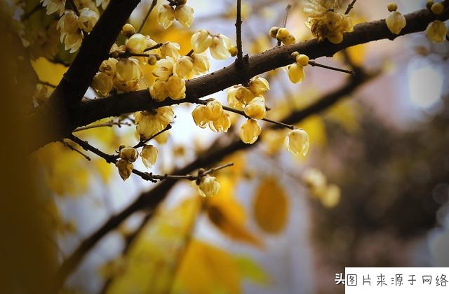 熊猫体育首页:美国人说美国:自由主义霸权失败,经济可能崩溃(图1) 熊猫体育公司