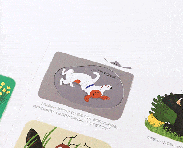 儿童百科全书那么多 为什么我只推荐这三套‘熊猫体育公司’(图18)