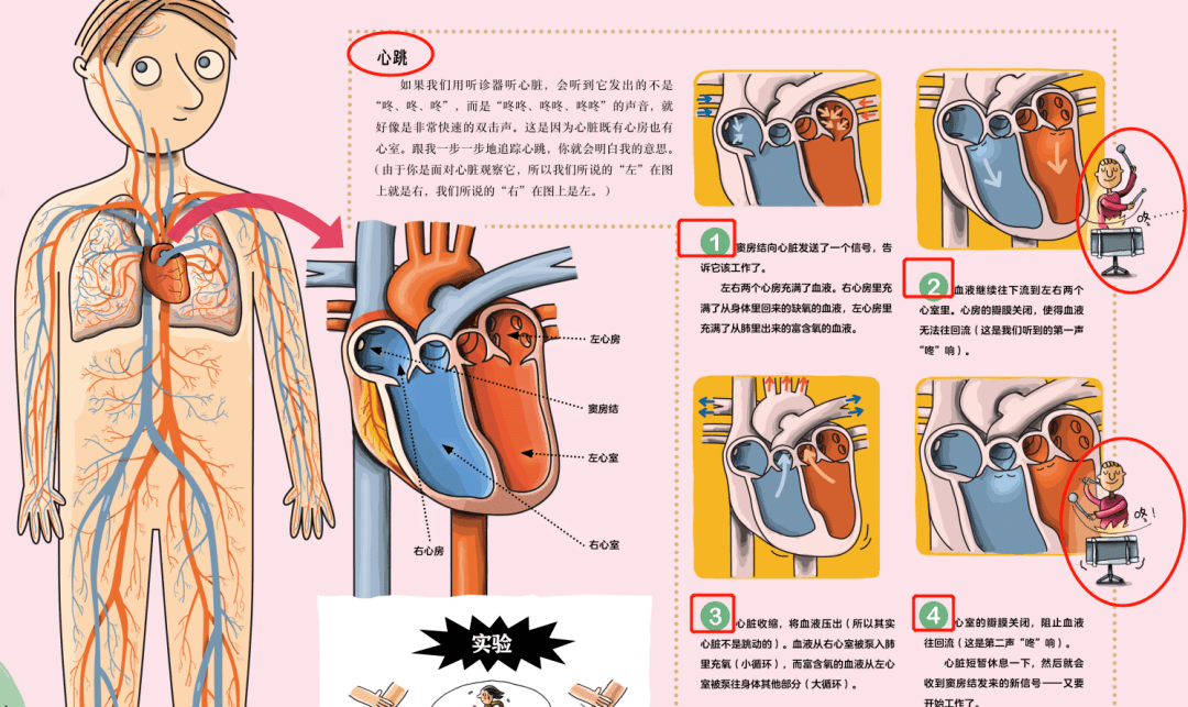 儿童百科全书那么多 为什么我只推荐这三套‘熊猫体育公司’(图24)