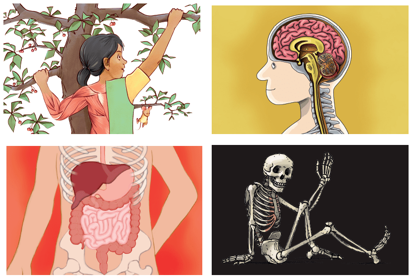 儿童百科全书那么多 为什么我只推荐这三套‘熊猫体育公司’(图26)