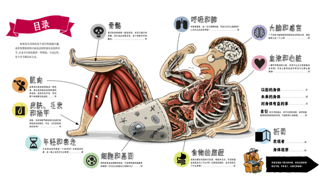 儿童百科全书那么多 为什么我只推荐这三套‘熊猫体育公司’(图27)