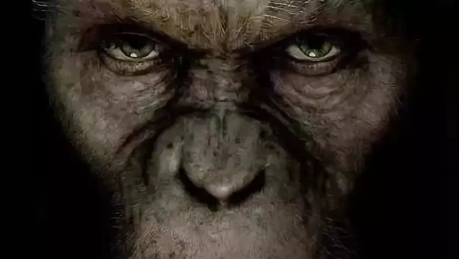 “熊猫体育首页”启动40台先进离心机伊朗增加浓缩铀储备施压欧洲(图1) 熊猫体育